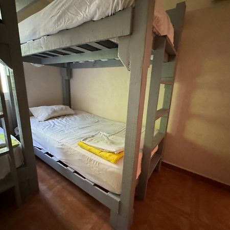 Pecari 26 Lejlighed Cancún Eksteriør billede