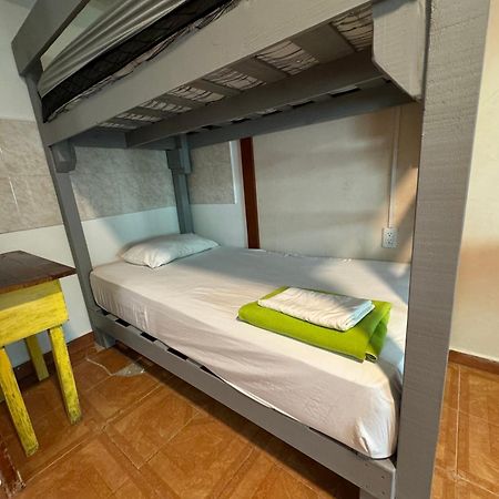 Pecari 26 Lejlighed Cancún Eksteriør billede
