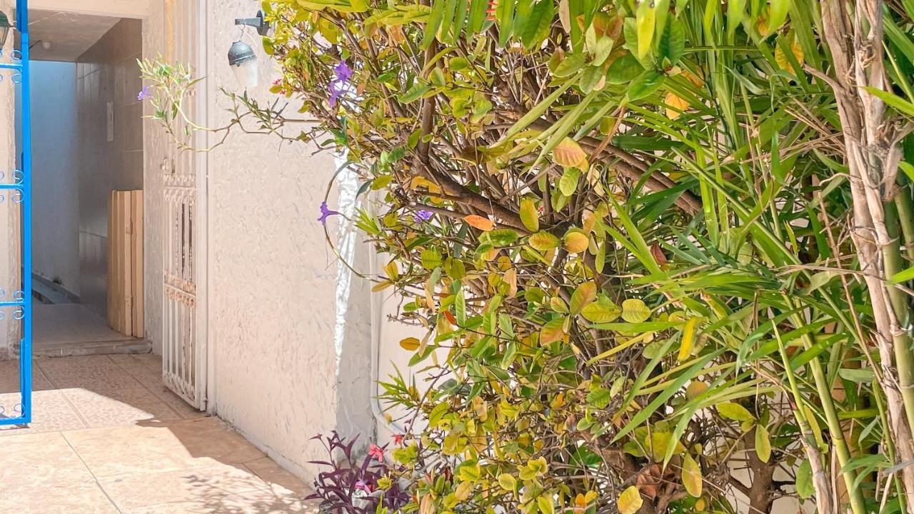 Pecari 26 Lejlighed Cancún Eksteriør billede