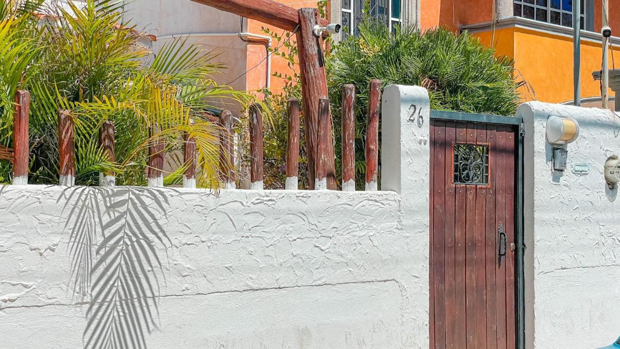 Pecari 26 Lejlighed Cancún Eksteriør billede