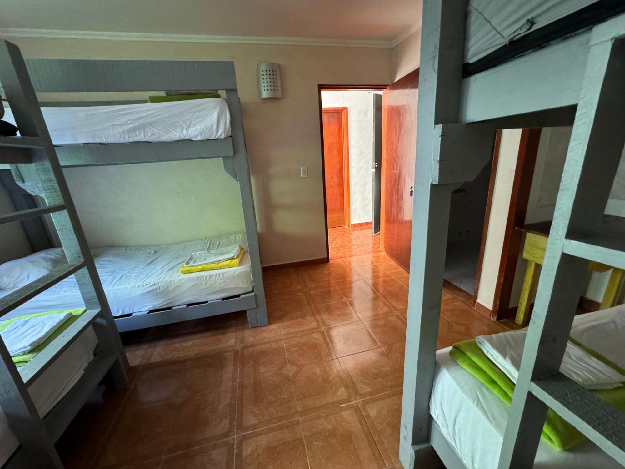 Pecari 26 Lejlighed Cancún Eksteriør billede